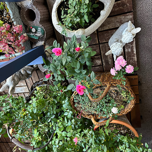 naokoさんの部屋