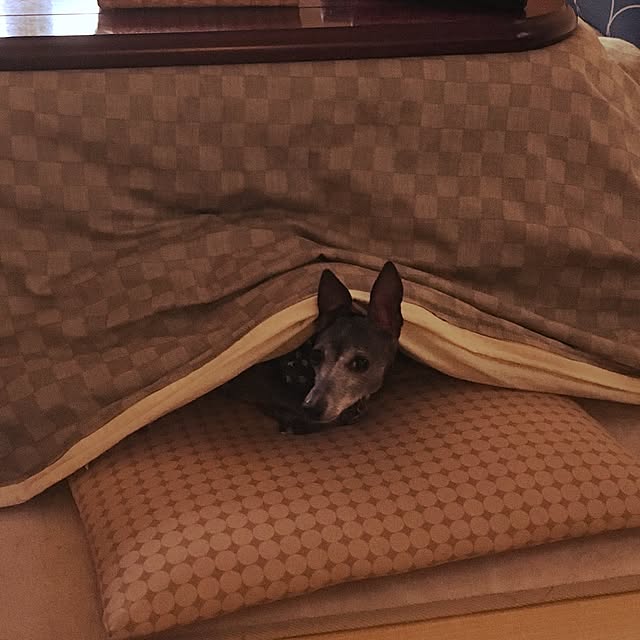 kantakaさんの実例写真