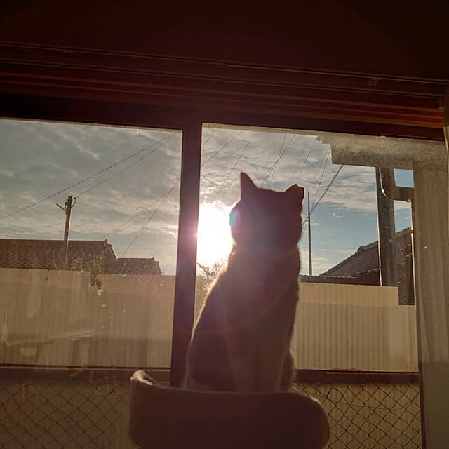 fukuさんの実例写真