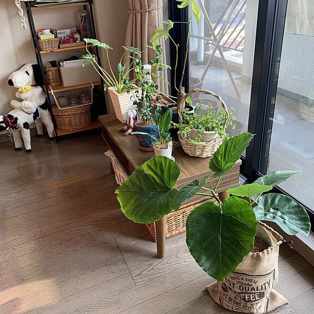 JUNさんの実例写真