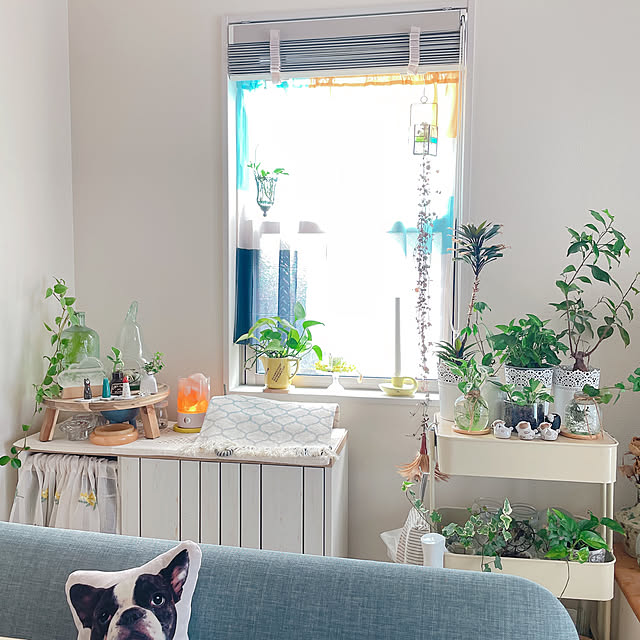 akiko-ovさんの部屋