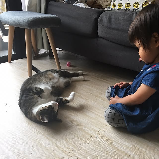ichi.さんの実例写真