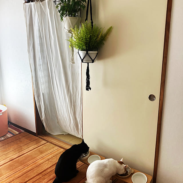 Tomokoさんの実例写真