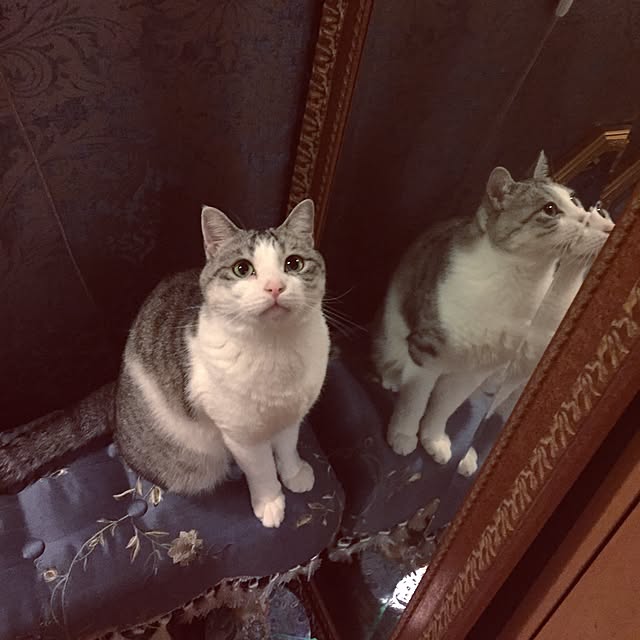 emmyyさんの実例写真