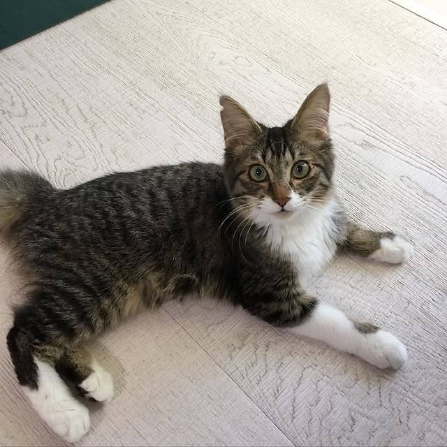 yuchiさんの実例写真