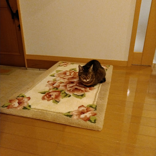 lilyさんの実例写真