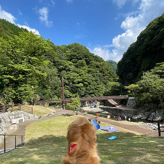 marinkoさんの実例写真