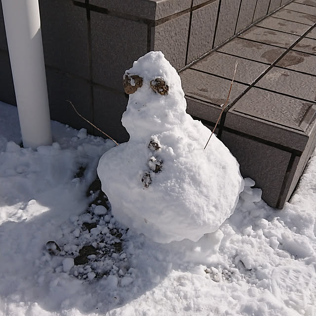 yukimamaさんの実例写真