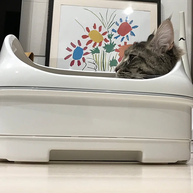 mayumiさんの実例写真
