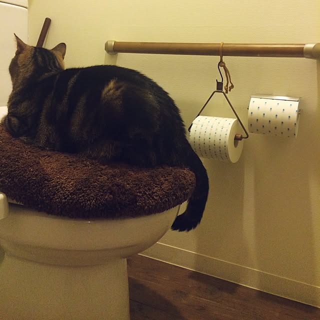 mikomaruさんの実例写真