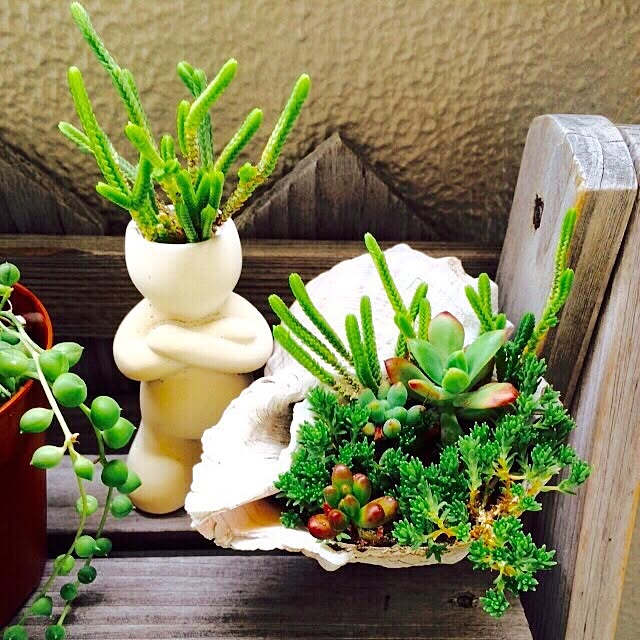 実例写真