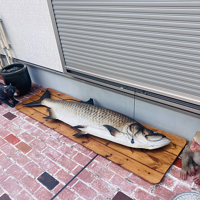 takakuzenさんの実例写真
