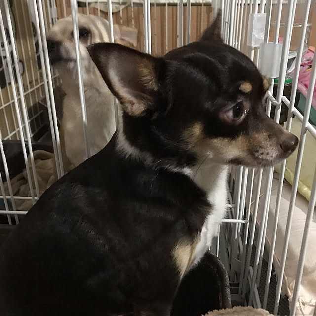 nacchintunnさんの実例写真