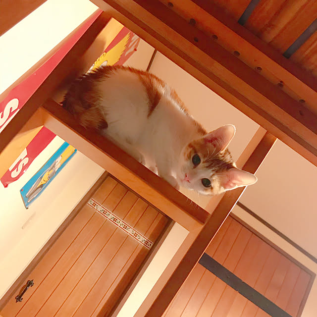 meさんの実例写真