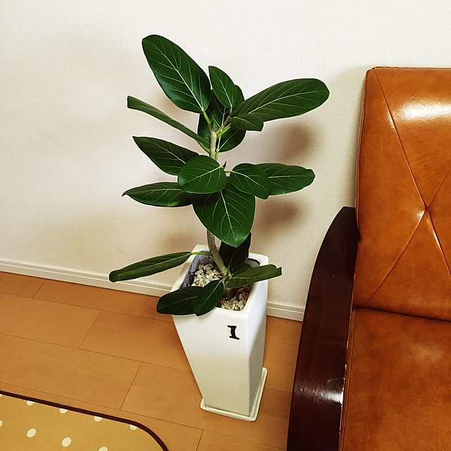 midorinさんの実例写真