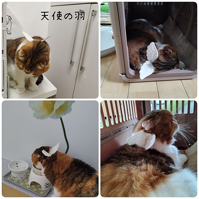 hiro3さんの実例写真