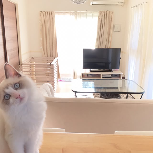 kanaさんの実例写真