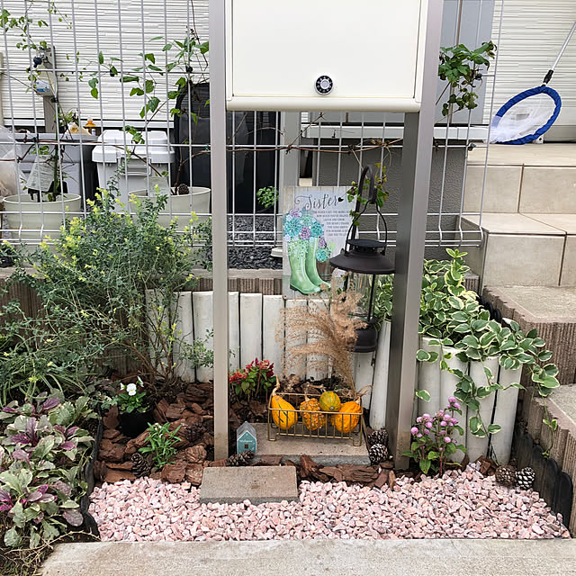 pinkflower_Potagerさんの実例写真