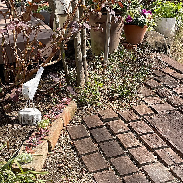nobikoさんの部屋