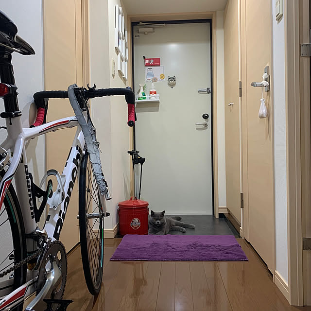 kittyさんの実例写真