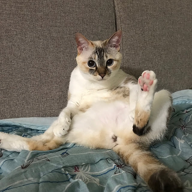 実例写真