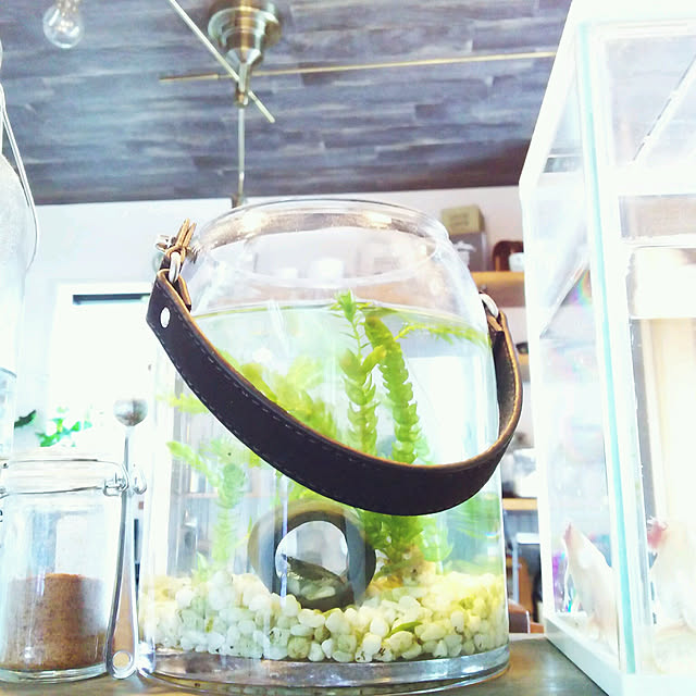 colonさんの実例写真