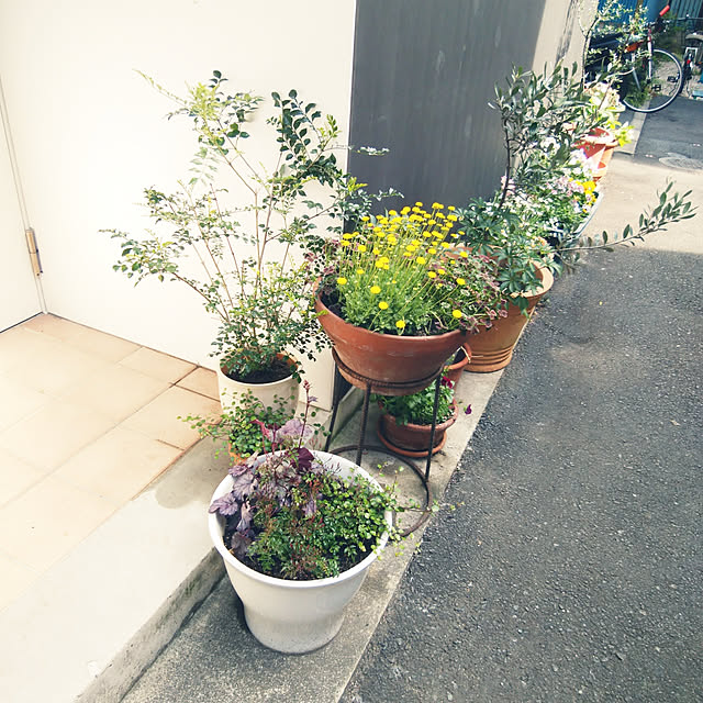 marotsukuneさんの実例写真