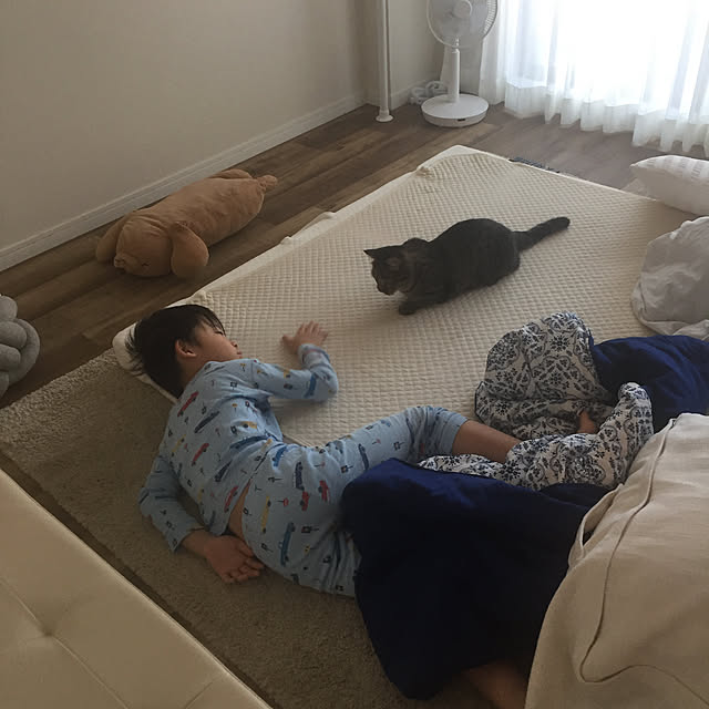 nocomomさんの実例写真