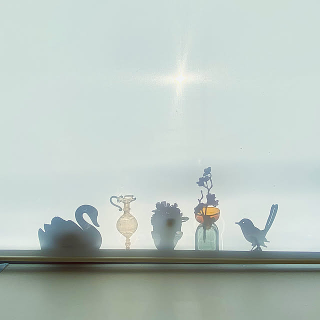 reirさんの実例写真