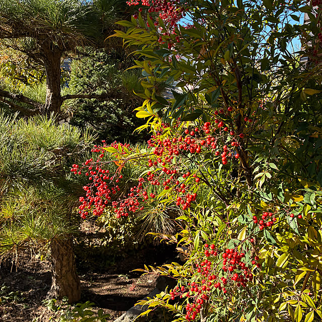 mary_loveさんの部屋