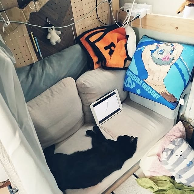 Tさんの実例写真