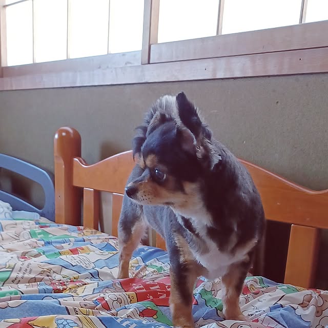 hiro-yさんの部屋