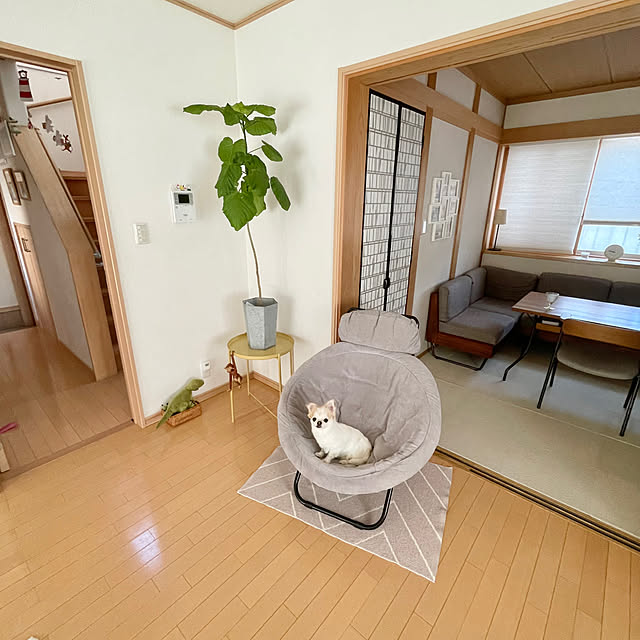 haritakaさんの実例写真