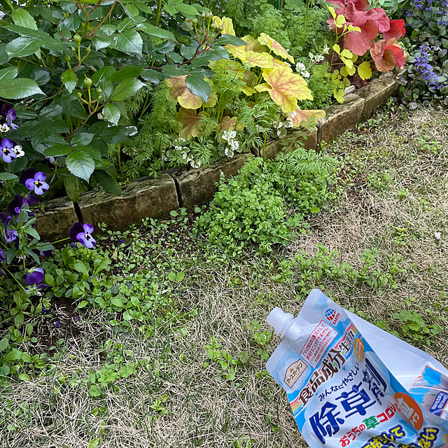 sugarcookieさんの実例写真
