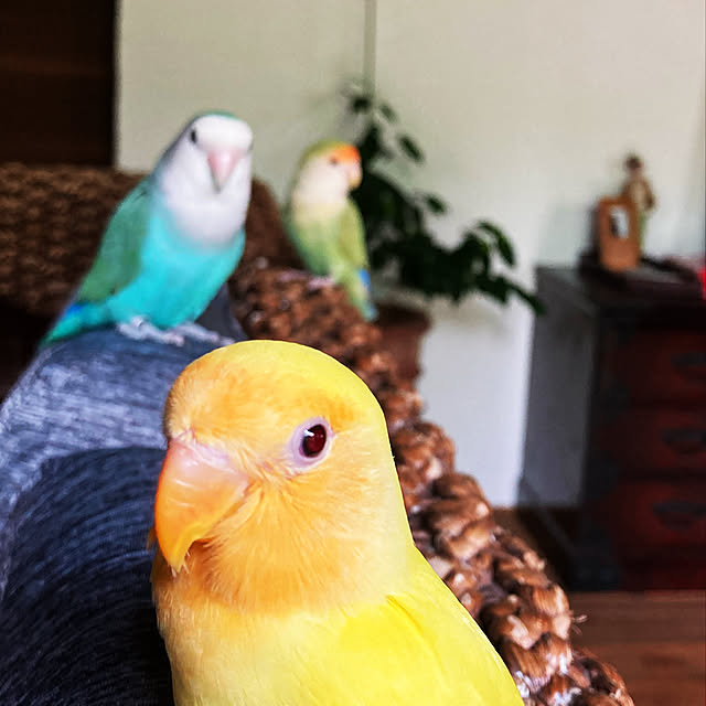 masさんの実例写真