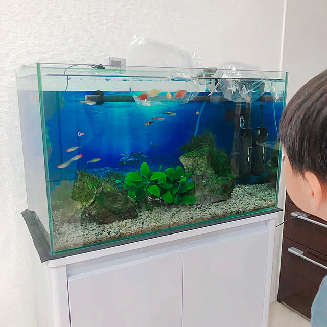 mihoさんの部屋