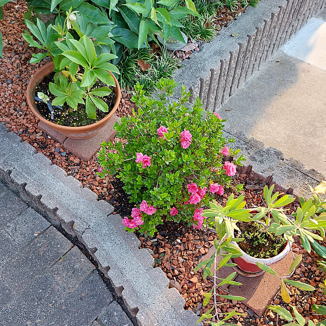 ayaさんの実例写真