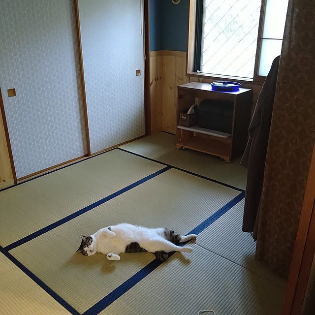 okyosan101さんの実例写真