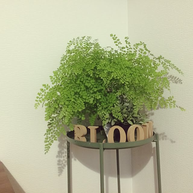 bloomさんの実例写真