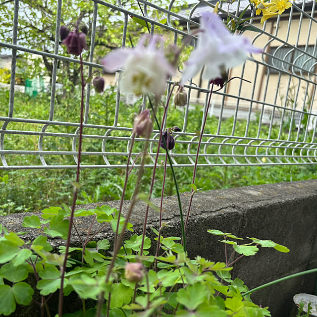 CoCo0617さんの部屋