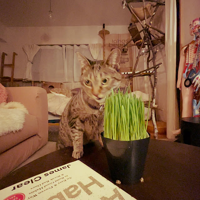 Mさんの実例写真