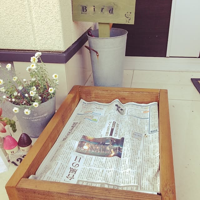 p_koさんの実例写真