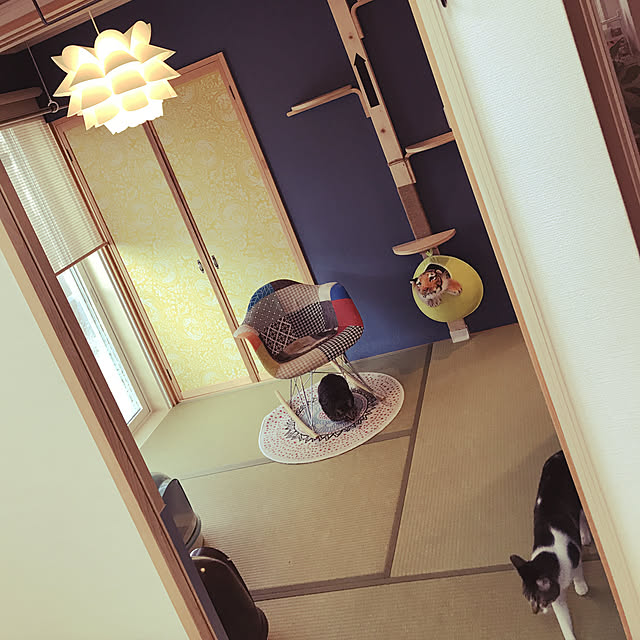 goさんの実例写真