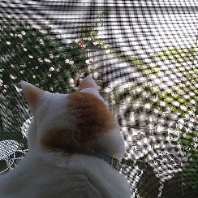 kiyosukeさんの部屋