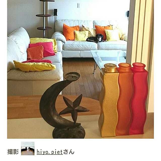 hiyo.pietさんの実例写真