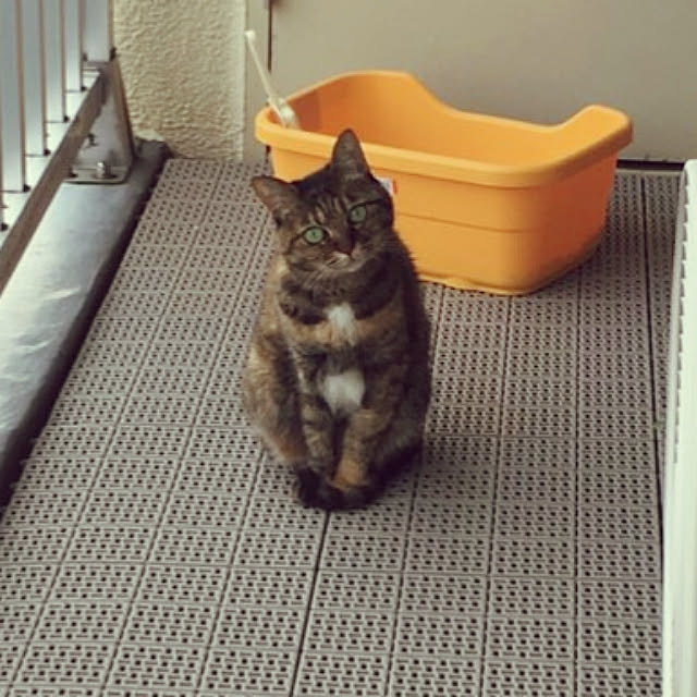 sango68さんの実例写真