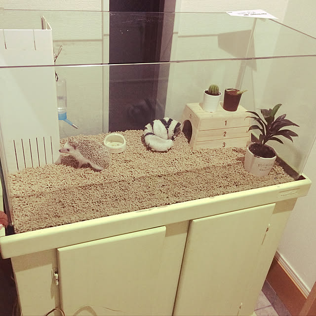 2030_myhomeさんの実例写真