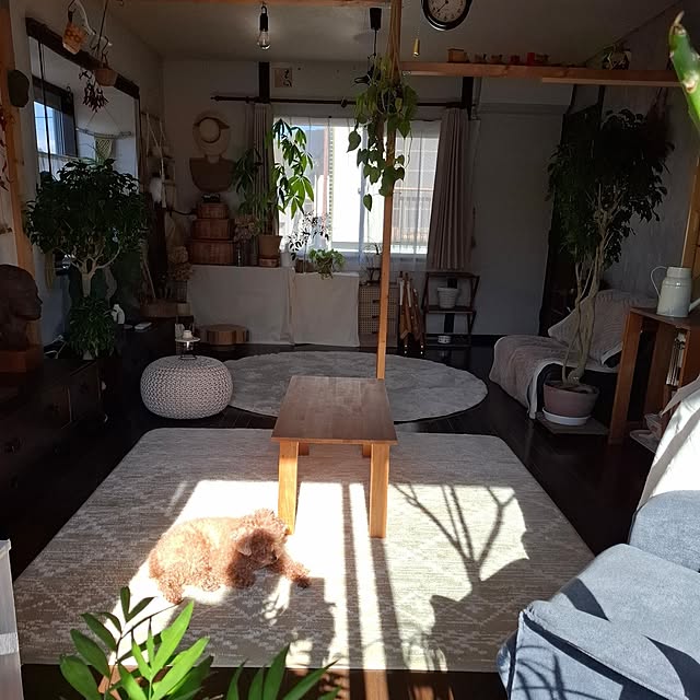 midoriさんの部屋