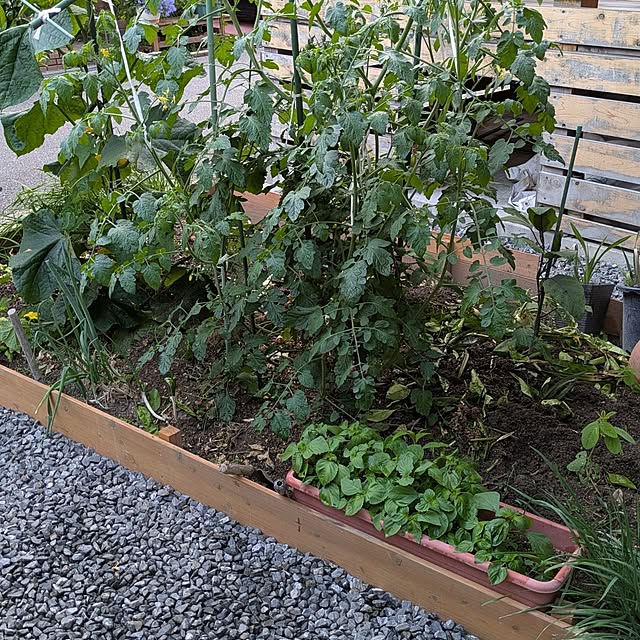 6+onehouseさんの部屋
