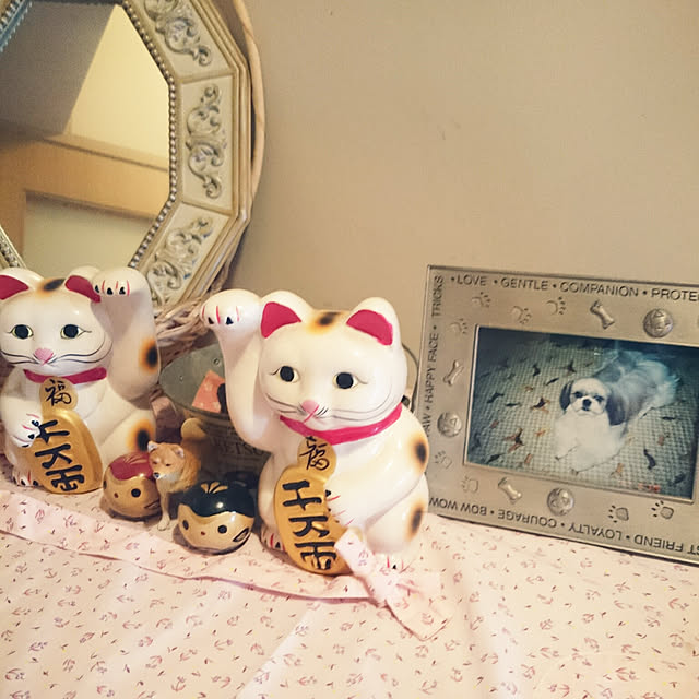 aisuさんの実例写真